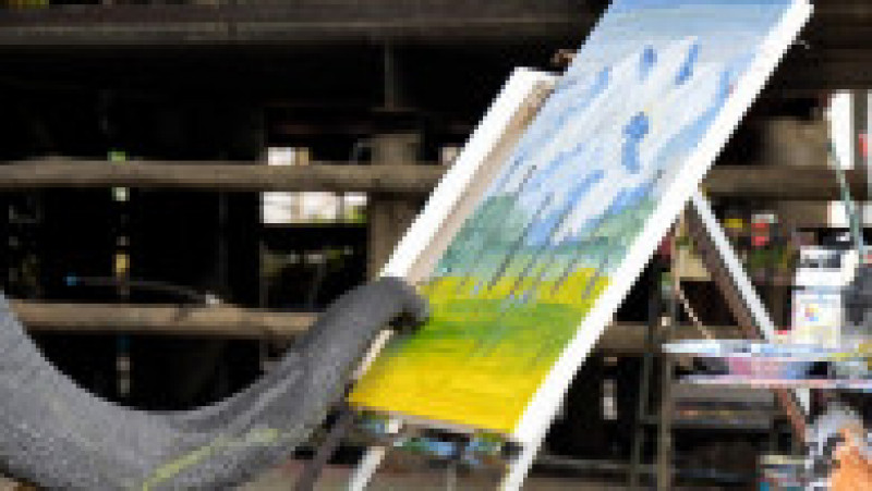 Un elefant pictează tablouri care se vând cu sute de lire sterline. Foto: Profimedia Images | Poza 2 din 11