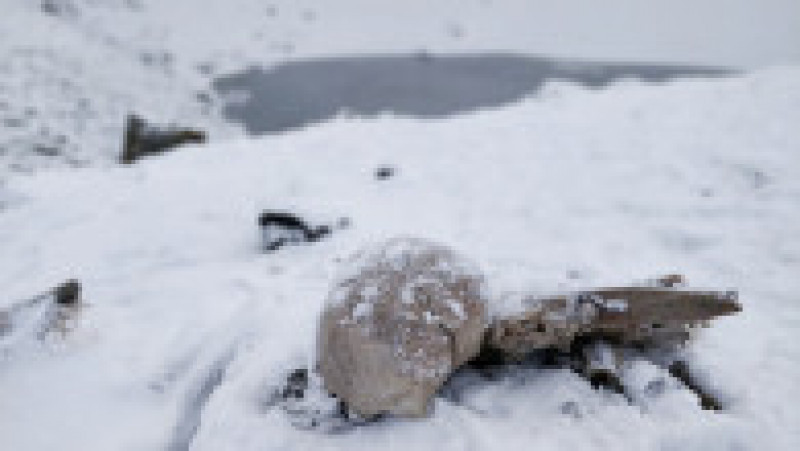 Parte a unui schelet uman lângă lacul Roopkund, sau „lacul scheletelor”, din Himalaya. Foto: GettyImages | Poza 2 din 6