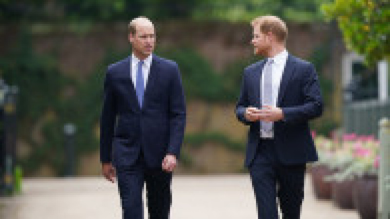 William și Harry au discutat pe aleea ce duce către locul unde este amplasată statuia prințesei Diana Foto: Profimedia | Poza 3 din 21