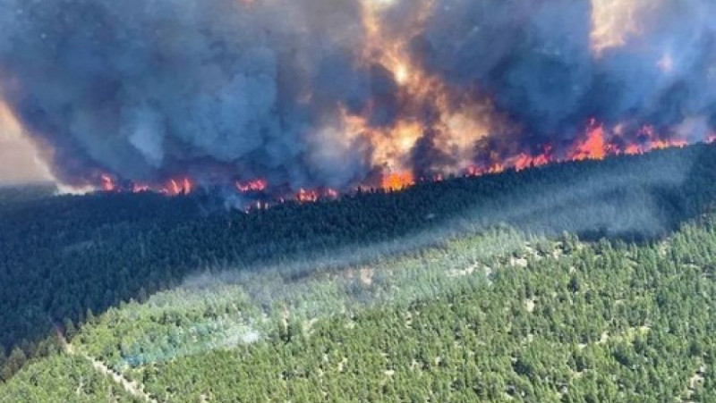 Localitatea din Canada unde temperatura a ajuns la aproape 50 de grade, cuprinsă de incendiu FOTO: Profimedia Images