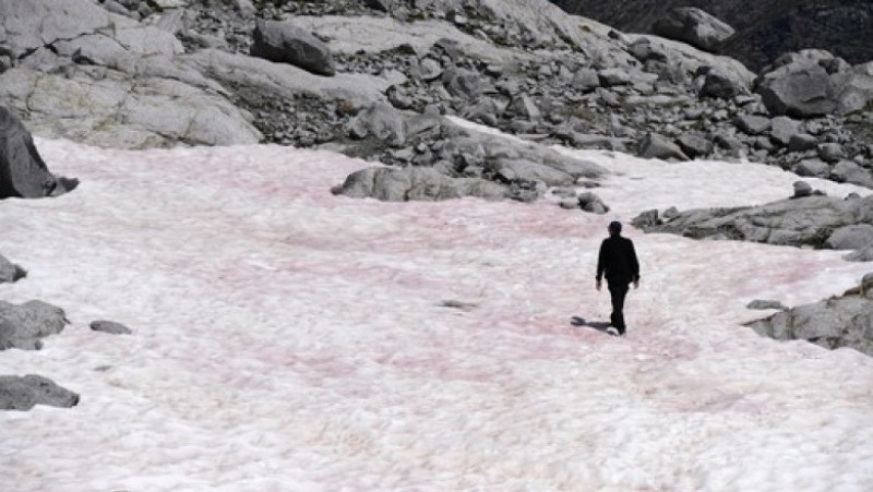 Per proteggersi dal caldo estivo, i ghiacciai italiani si “vestiranno”