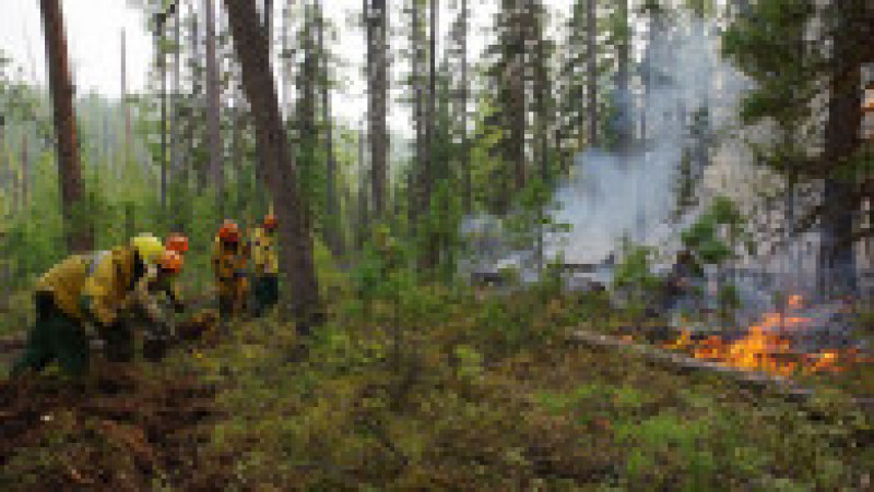 Pompierii încearcă să controleze răspândirea flăcărilor din regiunea siberiană Iacuția. Foto: Profimedia Images | Poza 2 din 8