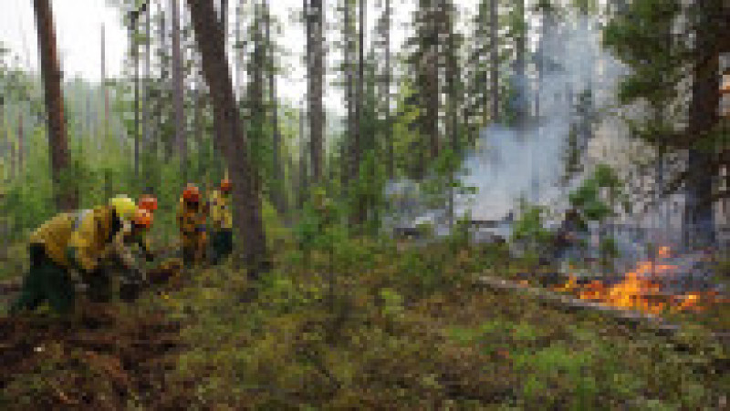 Pompierii încearcă să controleze răspândirea flăcărilor din regiunea siberiană Iacuția. Foto: Profimedia Images | Poza 2 din 8
