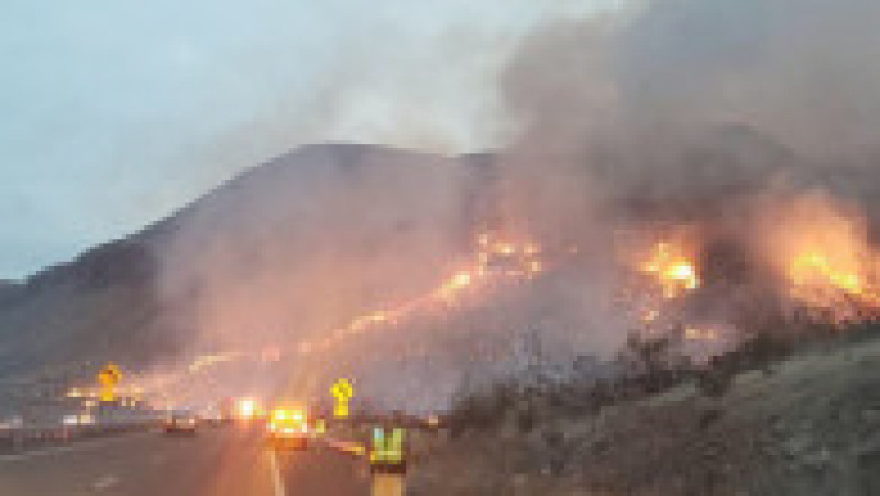 "Râuri de foc" în Arizona. Incendii de vegetație din cauza căldurii extreme. FOTO: Twitter | Poza 1 din 4