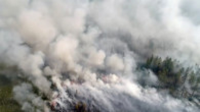 Incendiu de vegetație din Iacuția. Foto: Profimedia Images | Poza 6 din 8