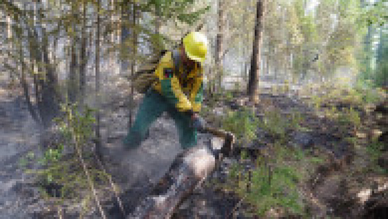 Un pompier intervine pentru controlarea unui incendiu dintr-o pădure siberiană. Foto: Profimedia Images | Poza 3 din 8
