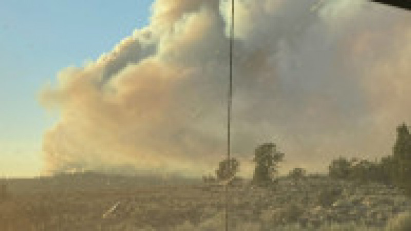 Căldura extremă a dus la incendii de proporții în SUA. FOTO: captura video mysuncoast.com | Poza 3 din 7