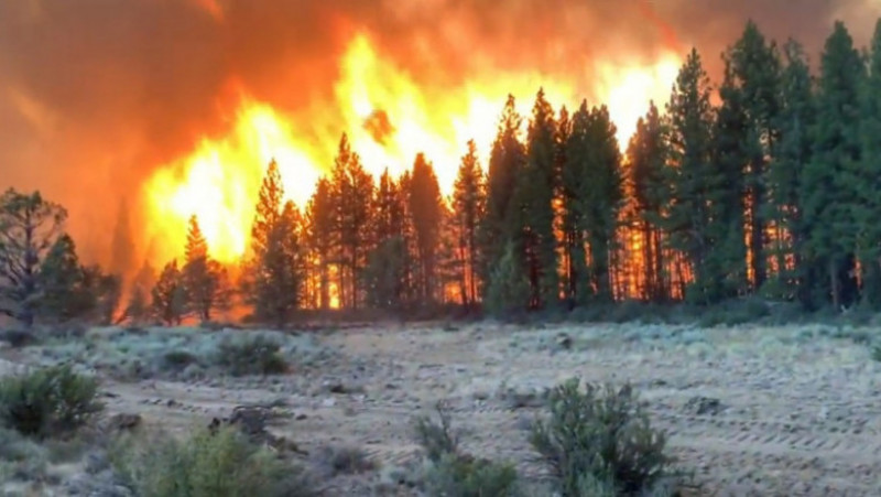 Căldura extremă a dus la incendii de proporții în SUA. FOTO: captura video mysuncoast.com