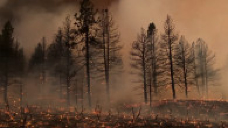 Căldura extremă a dus la incendii de proporții în SUA. FOTO: captura video ABC News | Poza 6 din 7