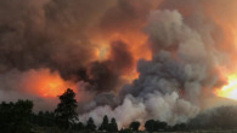 Căldura extremă a dus la incendii de proporții în SUA. FOTO: captura video ABC News | Poza 5 din 7