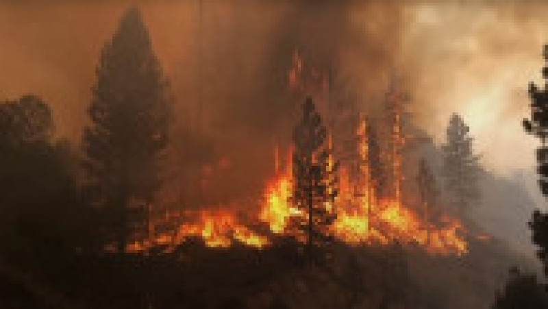 Căldura extremă a dus la incendii de proporții în SUA. FOTO: captura video ABC News | Poza 7 din 7