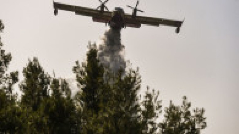 Un avion de mici dimensiuni participă la lupta împotriva incemdiului Foto: Profimedia Images | Poza 4 din 6