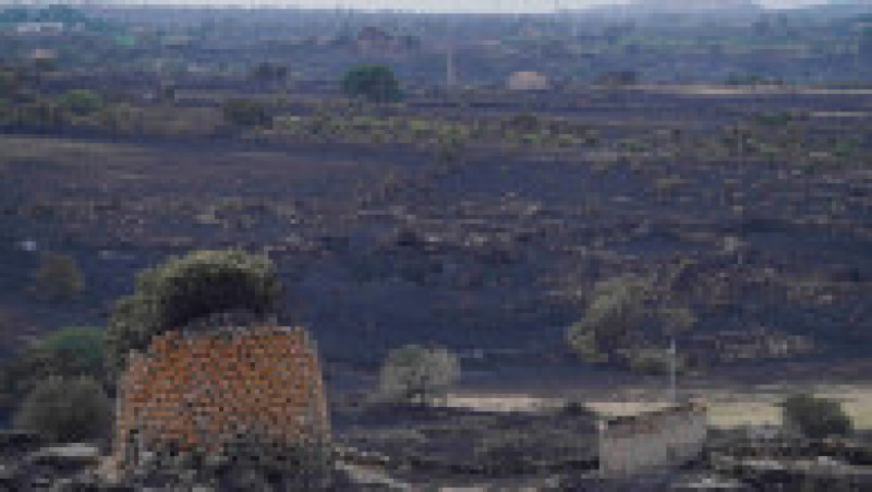 Zonă afectată de incendii în Oristano, Sardinia. Sursa foto: Profimedia Images | Poza 2 din 13
