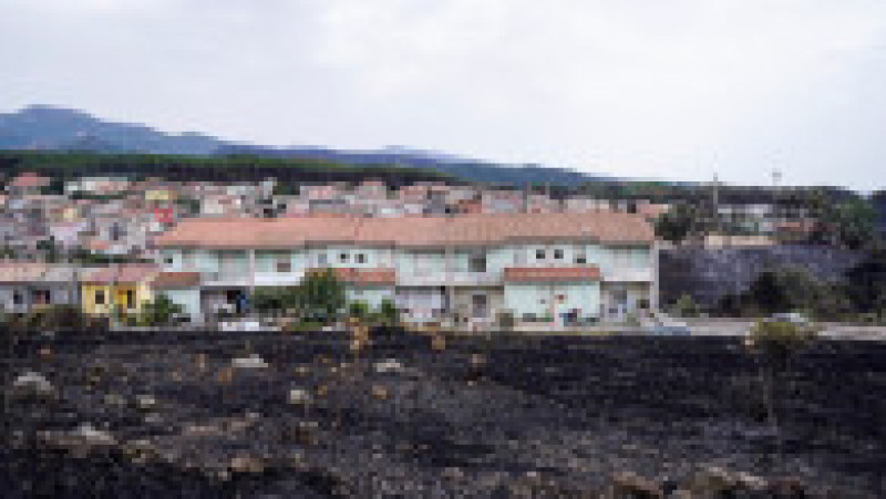 Zonă afectată de incendii în Oristano, Sardinia. Sursa foto: Profimedia Images | Poza 8 din 13