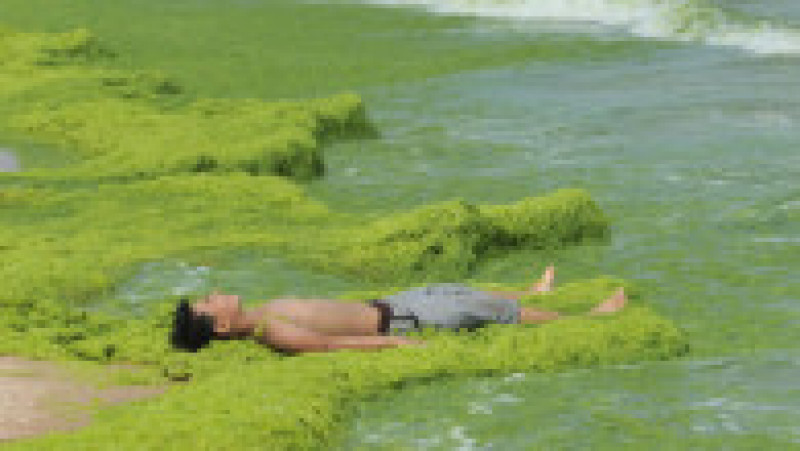Invazie de alge pe plajele din provincia chineză Qingdao. Foto: Profimedia Images | Poza 10 din 10
