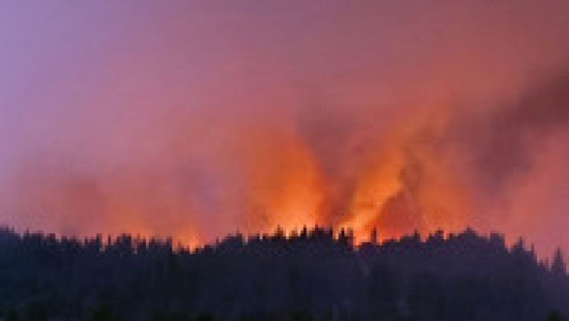 Bootleg Fire” a ars deja o suprafață mai mare decât cea a Los Angeles. Foto: Profimedia Images | Poza 1 din 6