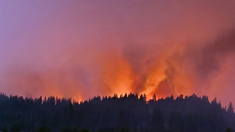 Bootleg Fire” a ars deja o suprafață mai mare decât cea a Los Angeles. Foto: Profimedia Images