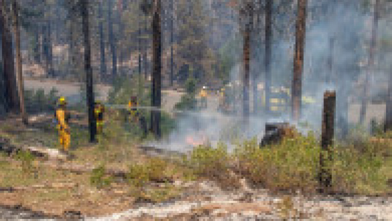 Bootleg Fire” a ars deja o suprafață mai mare decât cea a Los Angeles. Foto: Profimedia Images | Poza 4 din 6