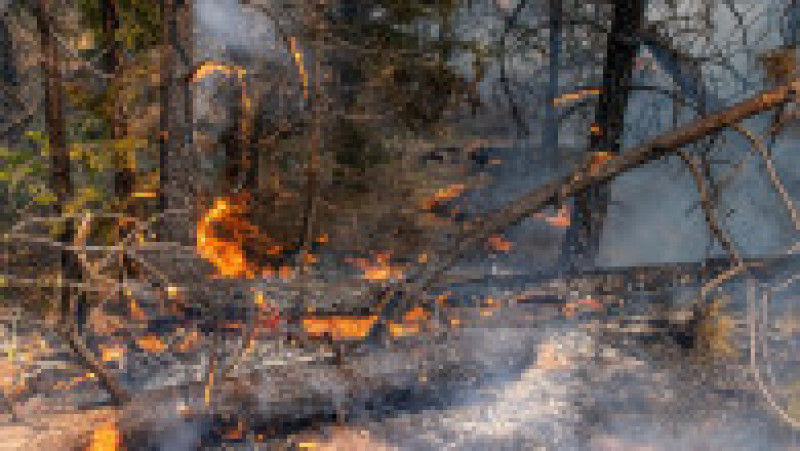 Bootleg Fire” a ars deja o suprafață mai mare decât cea a Los Angeles. Foto: Profimedia Images | Poza 3 din 6