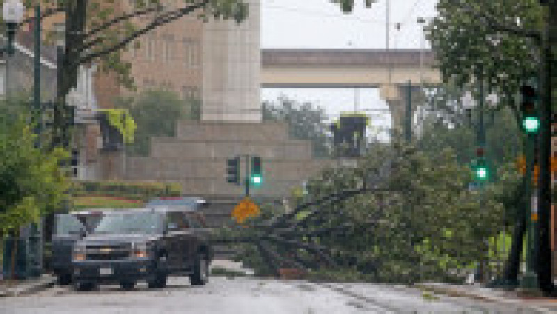 Copac doborât în New Orleans de vântul puternic care anunță apropierea uraganului Ida Foto: Profimedia Images | Poza 5 din 6