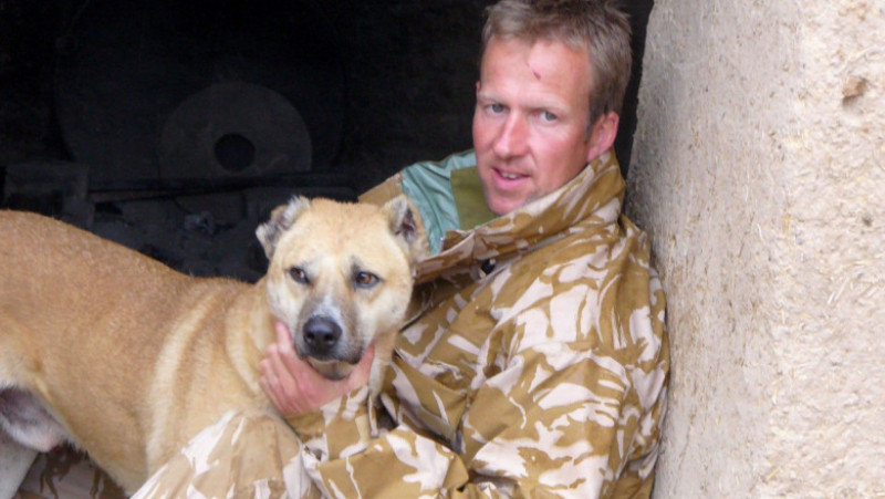 200 de câini și pisici, evacuați din Afganistan de un fost soldat britanic. Foto: Profimedia Images