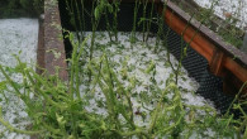 O ploaie torențială cu grindină a transformat străzile unui oraș din vestul Sloveniei în râuri. FOTO Facebook Misel Podgorski | Poza 15 din 17