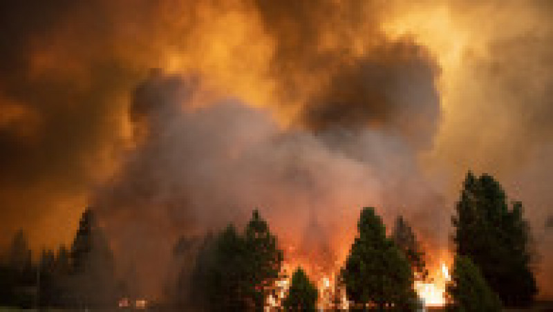 Incendiul Dixie a făcut scrum aproape un orășel întreg din California, numit Greenville.
Foto: Profimedia | Poza 6 din 13