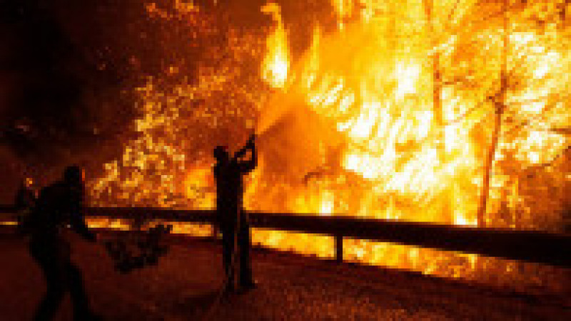 Incendii de vegetație în Grecia. În ultimele 24 de ore s-au declanşat 86 de noi incendii forestiere. Foto: Profimedia Images | Poza 5 din 7