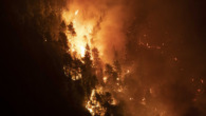 Incendii de vegetație în Grecia. Foto: Profimedia Images | Poza 42 din 81