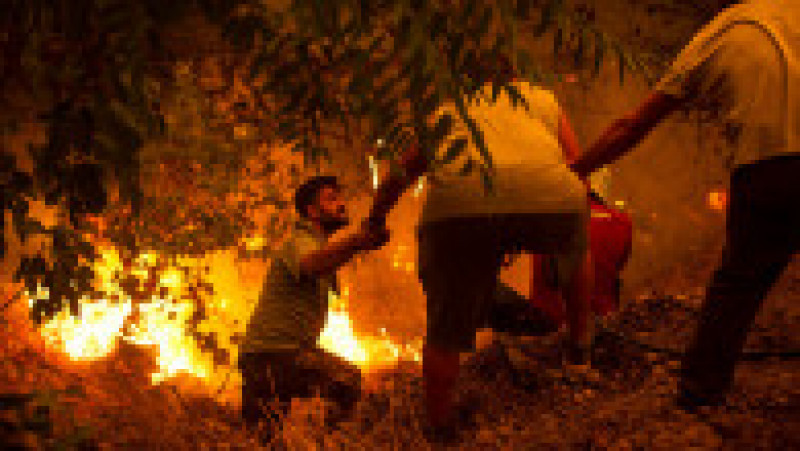 Incendii de vegetație în Grecia. Foto: Profimedia Images | Poza 43 din 81