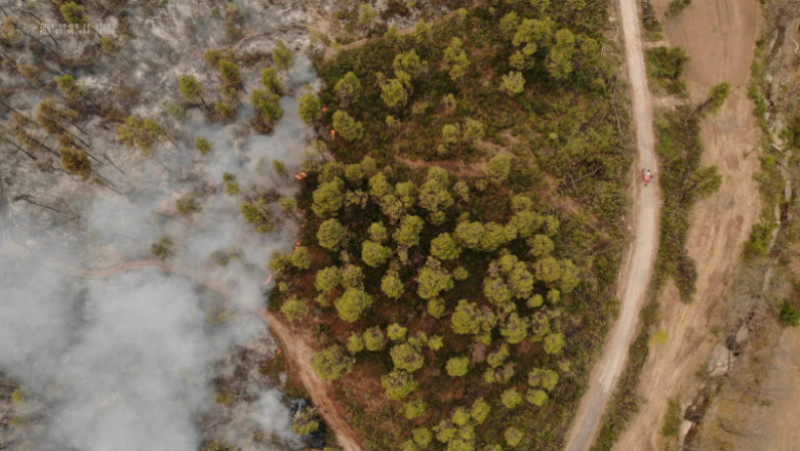 Imagini din dronele folosite de pompierii români pentru localizarea incendiilor din Grecia. 