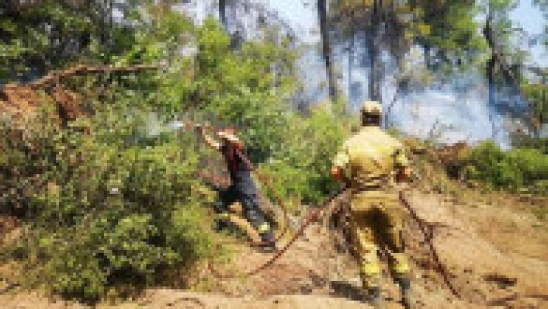Pompierii români se luptă cu incendiile de pe insula Evia. Foto: IGSU | Poza 4 din 5