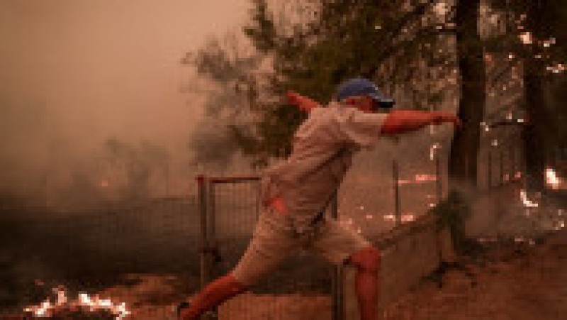 12 zile de haos în Grecia. Foto: Profimedia Images | Poza 14 din 23
