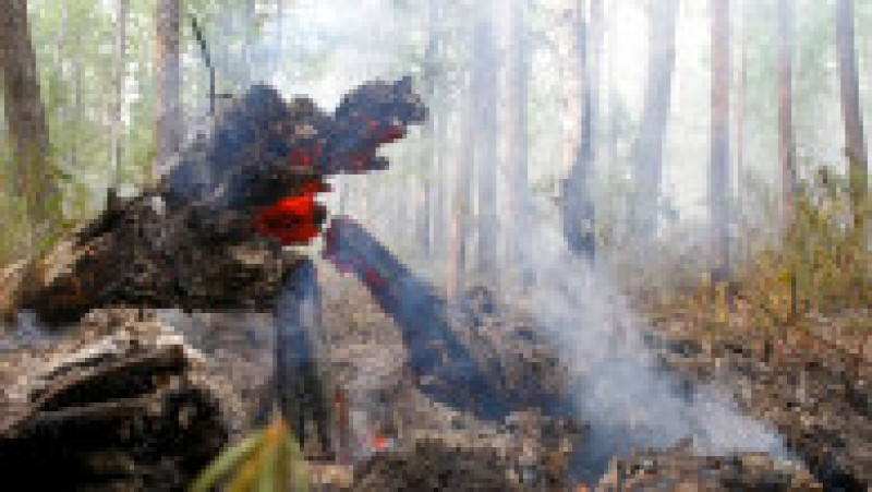 Incendii de vegetație în Iacuția. Sursa foto: Avialesookhrana Press Office/TAS / Profimedia Images | Poza 13 din 28