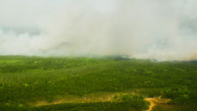 Incendii de vegetație în Iacuția. Sursa foto: Aerial Forest Protection Service / Profimedia Images | Poza 7 din 28