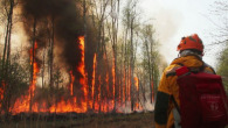 Incendii de vegetație în Iacuția. Sursa foto: Aerial Forest Protection Service / Profimedia Images | Poza 6 din 28