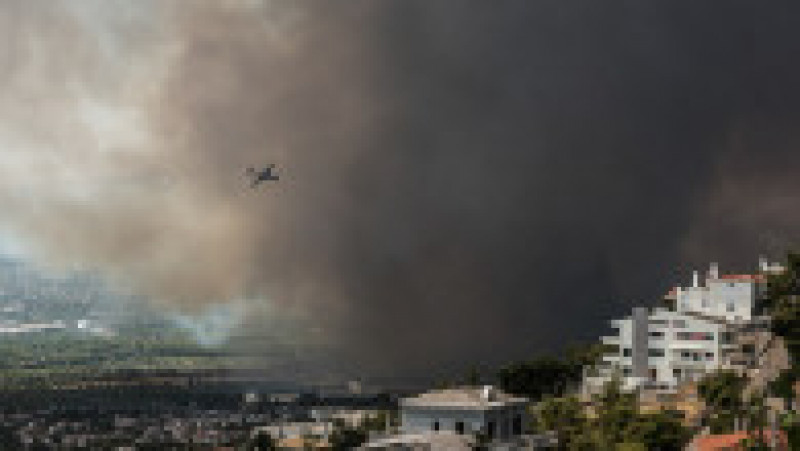 Incendiu în zona Varympompi, la nord de Atena. Foto: Profimedia | Poza 2 din 10