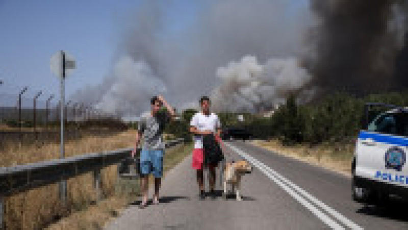 Incendiu de vegetație în Tatoi, nordul Atenei. Foto: Profimedia | Poza 4 din 10