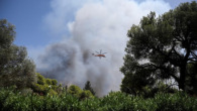 Incendiu de vegetație în Tatoi, nordul Atenei. Foto: Profimedia | Poza 8 din 10
