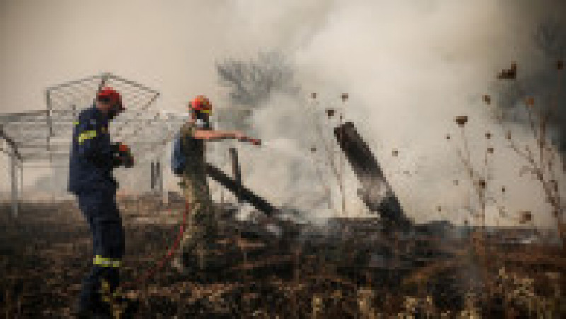 Incendiu de vegetație în Tatoi, nordul Atenei. Foto: Profimedia | Poza 9 din 10