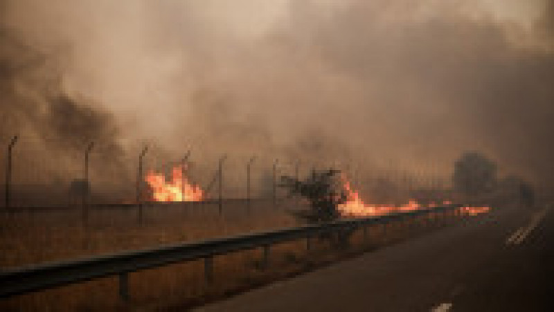 Incendiu de vegetație în Tatoi, nordul Atenei. Foto: Profimedia | Poza 10 din 10