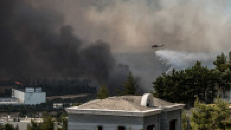 Incendiu de vegetație în Tatoi, nordul Atenei. Foto: Profimedia | Poza 7 din 10
