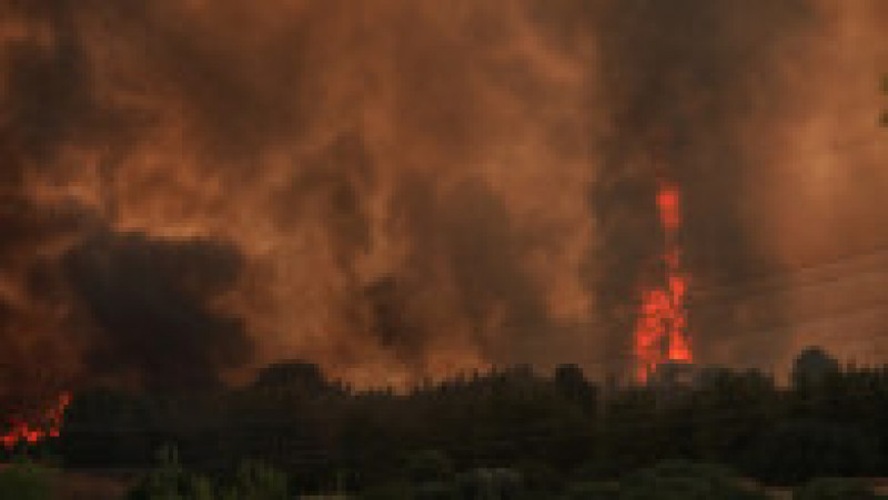 Incendiu de vegetație în Tatoi, nordul Atenei.
Foto: Profimedia | Poza 5 din 10