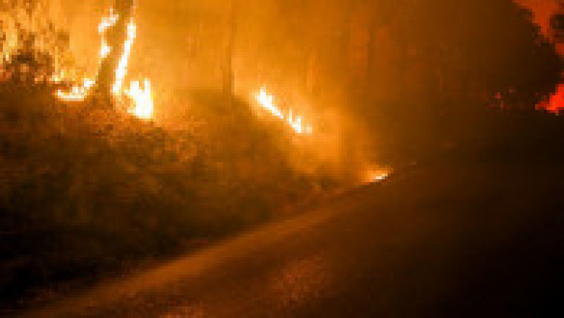 Un incendiu de vegetație de proporții a cuprins regiunea Var, din sudul Franţei. FOTO Profimedia Images | Poza 4 din 7