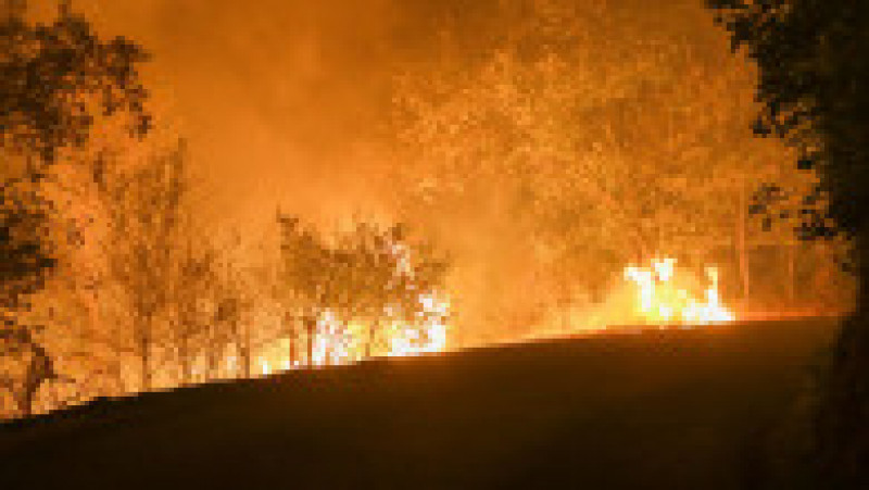 Un incendiu de vegetație de proporții a cuprins regiunea Var, din sudul Franţei. FOTO Profimedia Images | Poza 5 din 7