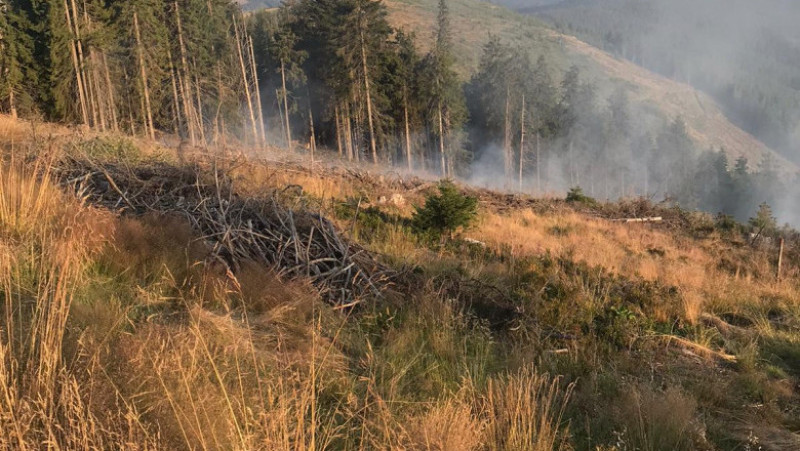 Incendiu de vegetație în Munții Șureanu. FOTO Facebook ISU Hunedoara