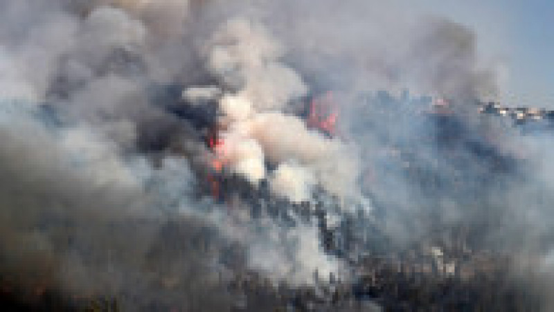 Incendiu de vegetație în apropiere de Ierusalim. Foto: Prodimedia | Poza 7 din 8