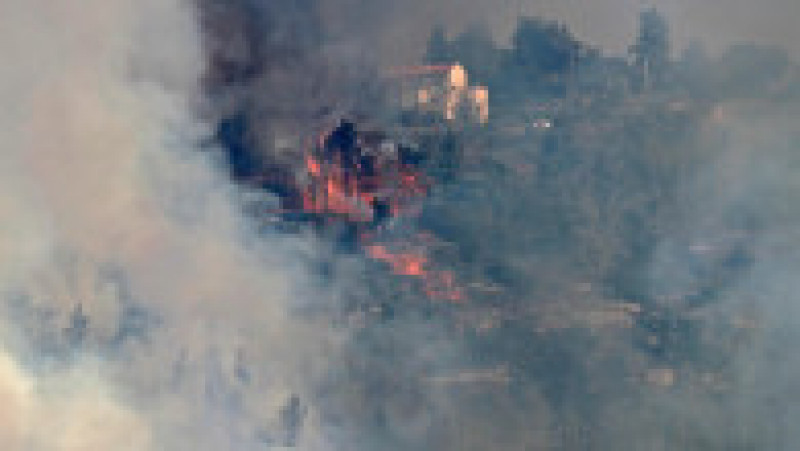 Incendiu de vegetație în apropiere de Ierusalim. Foto: Prodimedia | Poza 6 din 8
