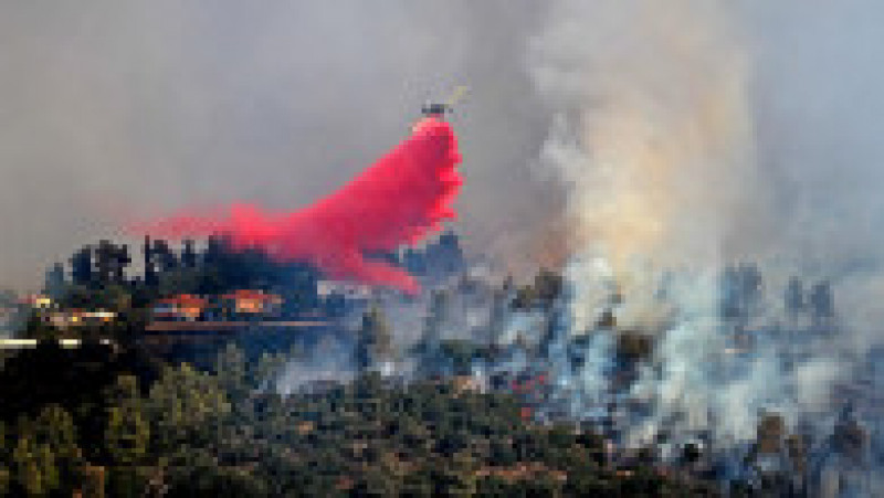 Incendiu de vegetație în apropiere de Ierusalim. Foto: Prodimedia | Poza 3 din 8
