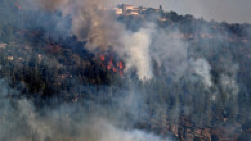 Incendiu de vegetație în apropiere de Ierusalim. Foto: Prodimedia | Poza 4 din 8